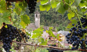 Schermata 2019 03 18 alle 10.33.06