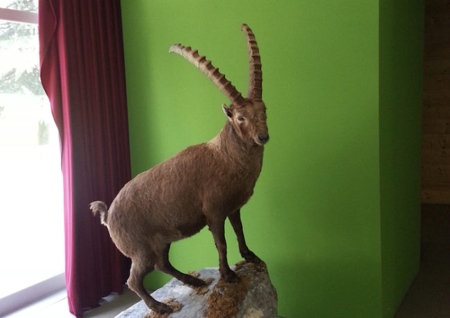 Schermata 2019 04 18 alle 13.20.31