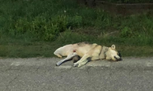 Schermata 2019 08 10 alle 09.23.52