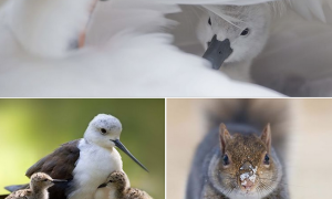 Schermata 2019 10 01 alle 12.55.16