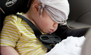 Schermata 2019 11 11 alle 17.30.53