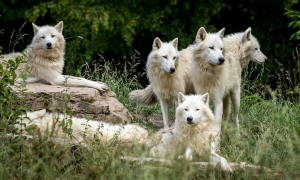 Schermata 2019 12 05 alle 19.10.25