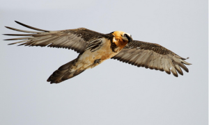 Schermata 2020 08 20 alle 09.47.27