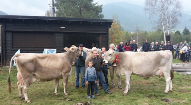 Schermata 2020 09 07 alle 10.27.15