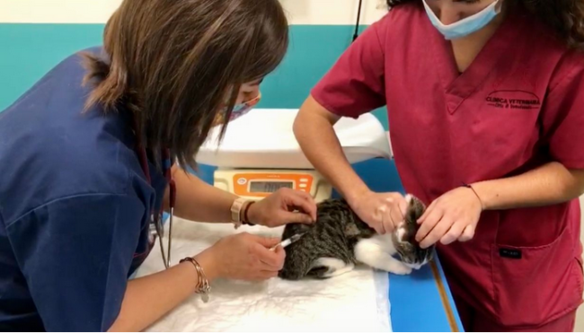 Schermata 2020 11 15 alle 11.57.40