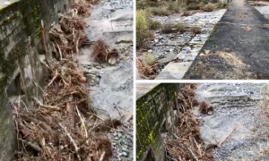 Schermata 2020 11 29 alle 11.58.53