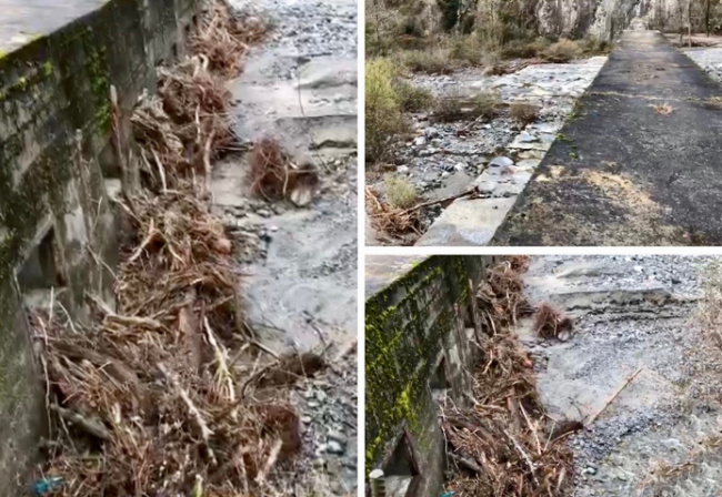 Schermata 2020 11 29 alle 11.58.53