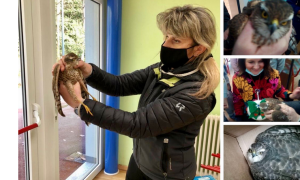 Schermata 2020 12 22 alle 20.42.05