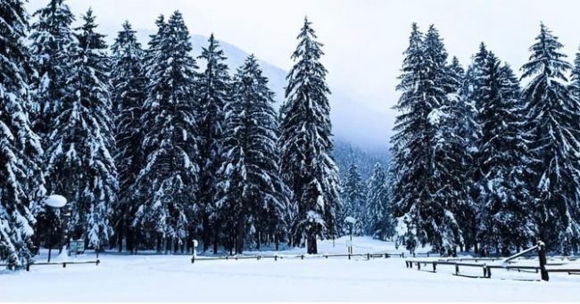 Schermata 2021 01 03 alle 16.50.36