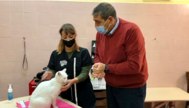 Schermata 2021 01 24 alle 11.18.36