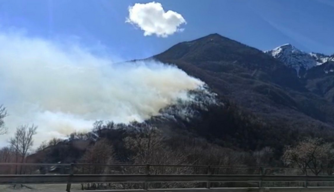 Schermata 2021 03 14 alle 12.49.35