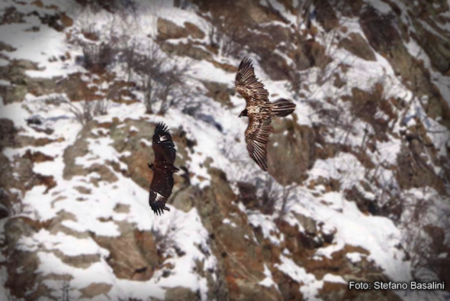 Schermata 2021 03 19 alle 13.42.07