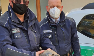 Schermata 2021 03 29 alle 17.22.14