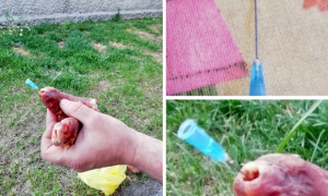 Schermata 2021 03 30 alle 10.06.19