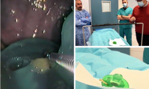 Schermata 2021 04 04 alle 10.11.09