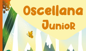 Schermata 2021 05 25 alle 12.54.36