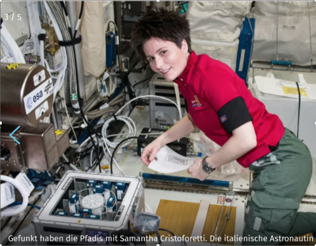 Schermata 2022 08 08 alle 10.39.18