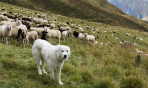 Schermata 2022 09 23 alle 09.21.20