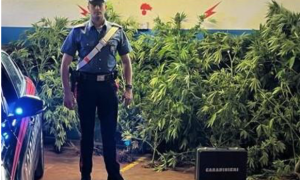 Schermata 2022 09 29 alle 16.41.28