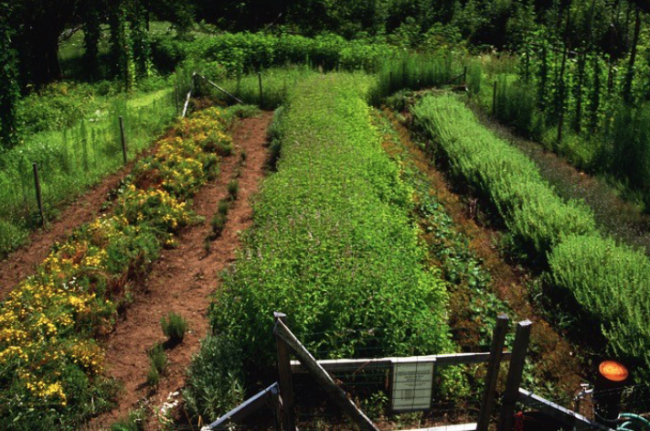 Schermata 2023 02 07 alle 12.22.22