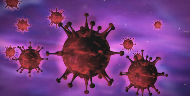 Schermata 2023 02 24 alle 16.02.21