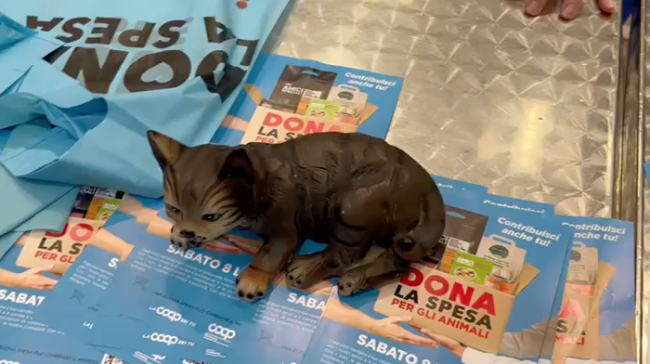 Schermata 2023 07 10 alle 07.35.13