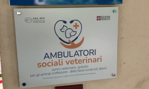 Schermata 2023 09 14 alle 14.38.13