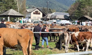 Schermata 2023 10 03 alle 09.24.46