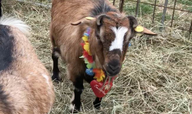 Schermata 2023 10 26 alle 09.12.59