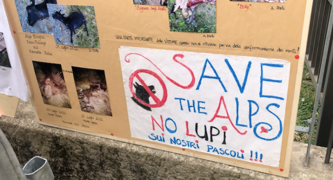 Schermata 2023 12 12 alle 09.14.25