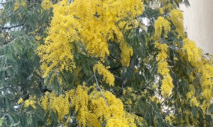 Schermata 2024 03 07 alle 20.23.36