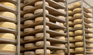 Schermata 2024 06 17 alle 12.17.36