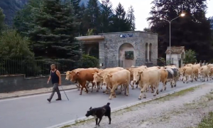 Schermata 2024 07 06 alle 10.16.23