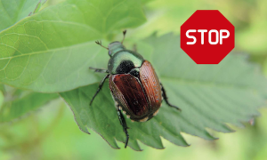 Schermata 2024 08 07 alle 09.45.55