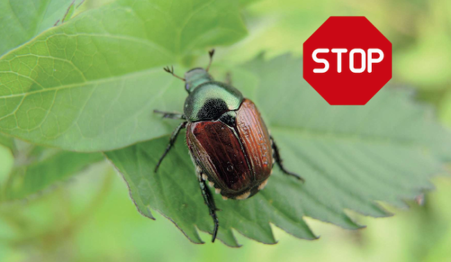 Schermata 2024 08 07 alle 09.45.55