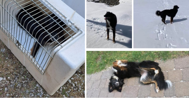 Schermata 2024 10 05 alle 15.58.11