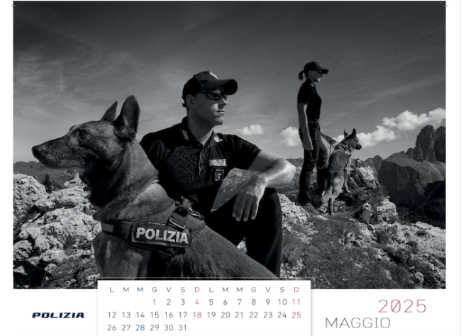 Schermata 2024 11 08 alle 08.22.38