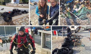 Schermata 2024 11 09 alle 14.04.06