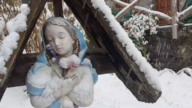 Schermata 2024 11 21 alle 14.04.39