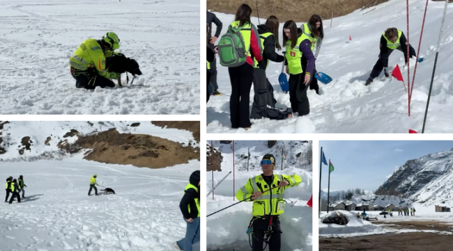 Schermata 2025 04 03 alle 12.08.06