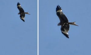 Schermata 2025 06 20 alle 09.57.53