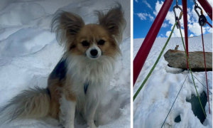 Schermata 2025 08 22 alle 07.34.39