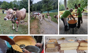 Schermata 2025 09 02 alle 08.43.07