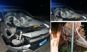 Schermata 2025 09 12 alle 13.19.11