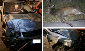 Schermata 2025 09 30 alle 09.25.11