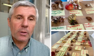 Schermata 2025 10 08 alle 10.50.52