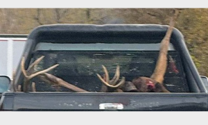 Schermata 2025 11 20 alle 17.10.38