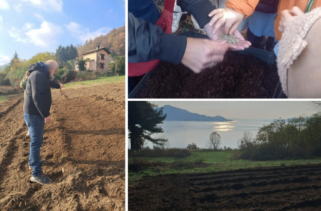 Schermata 2025 12 05 alle 16.52.31