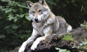 Screenshot 2023 04 16 alle 10.05.49