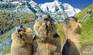 Screenshot 2023 04 23 alle 09.32.46